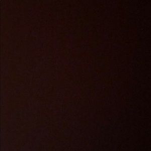 Meet your Posher, Leonard